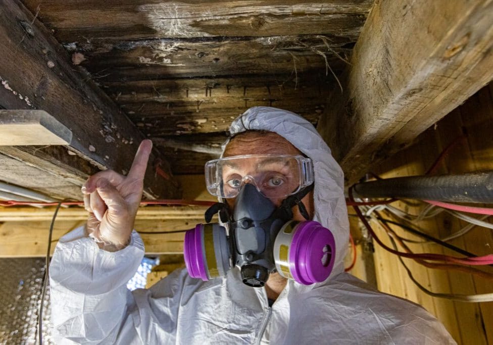 Mold Inspection technician pointing to black mold